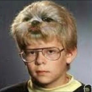 Meet your Posher, Casey